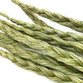 Smudging Herbs - Sweet Grass Braid - Honeysuckle & Sparrow