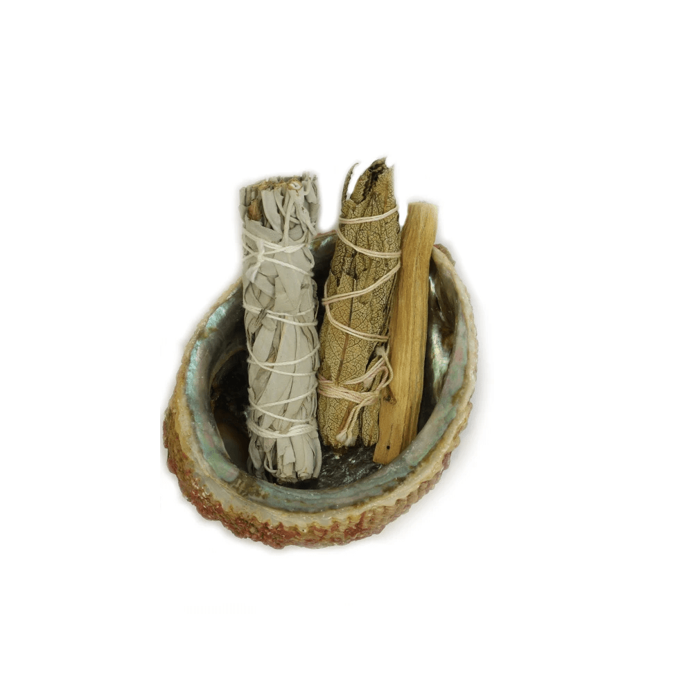 Smudge Ash Tray Burner - Abalone shell - Large 5"-6" - Honeysuckle & Sparrow