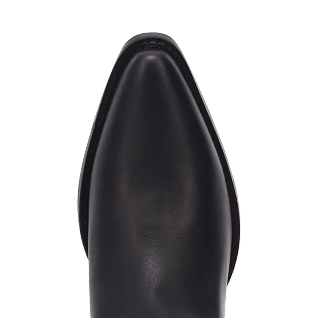 Dingo Jukebox - Women's Leather Cowgirl Boots - Honeysuckle & Sparrow