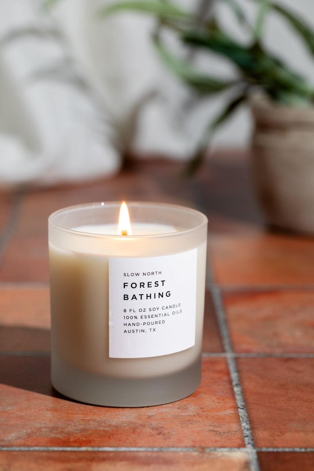 Forest Bathing - Signature Candle (Fir + Pine + Patchouli) - Honeysuckle & Sparrow