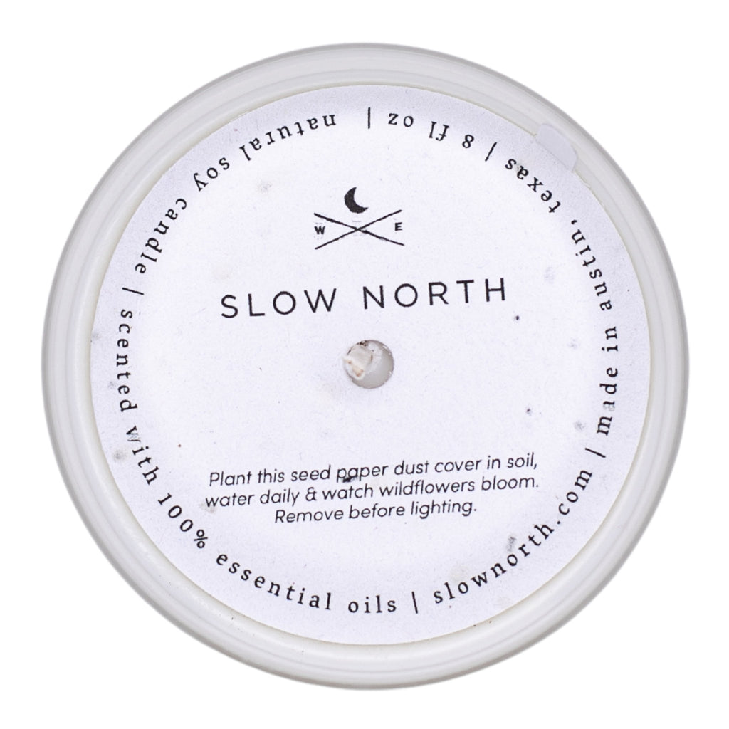Forest Bathing - Signature Candle (Fir + Pine + Patchouli) - Honeysuckle & Sparrow