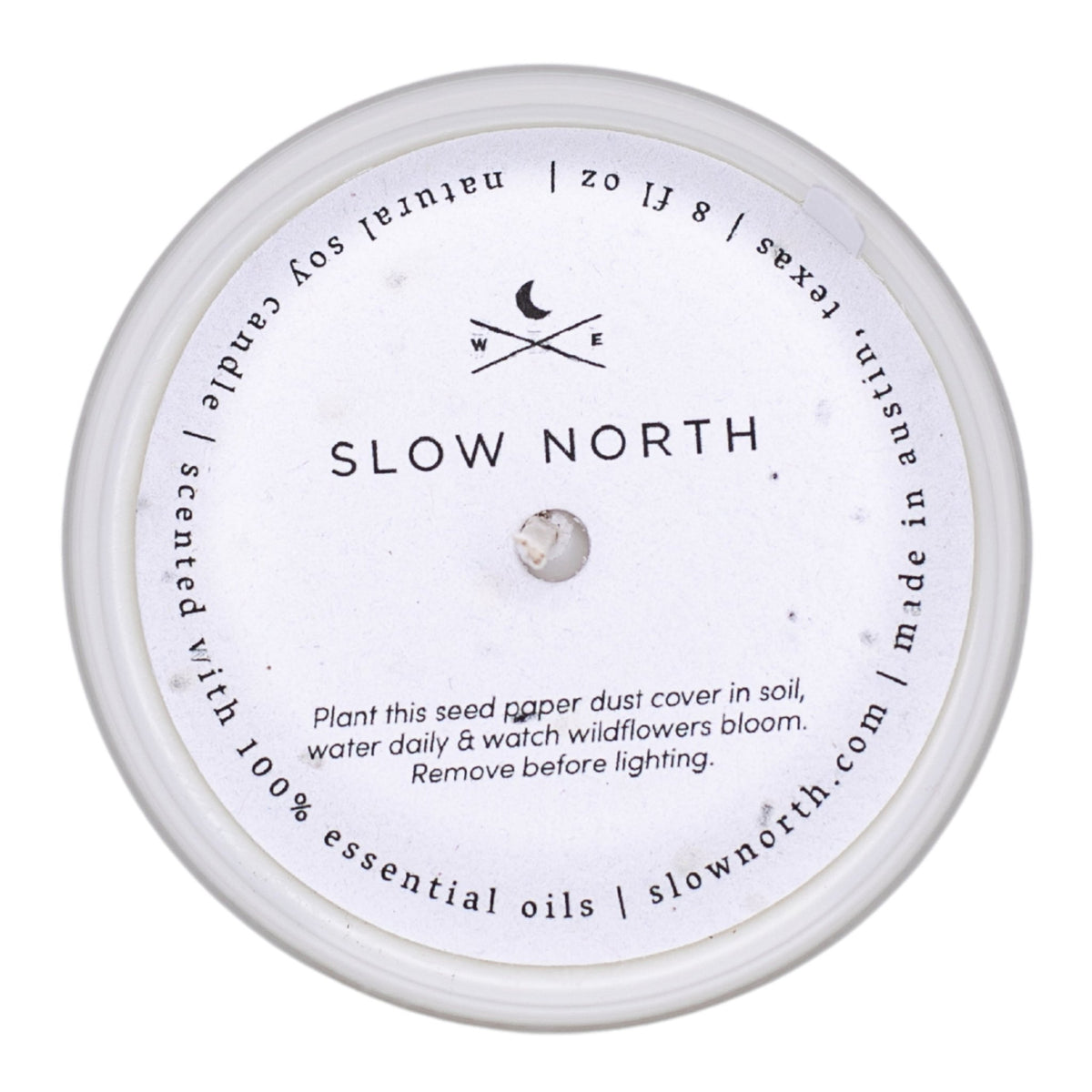 Forest Bathing - Signature Candle (Fir + Pine + Patchouli) - Honeysuckle & Sparrow