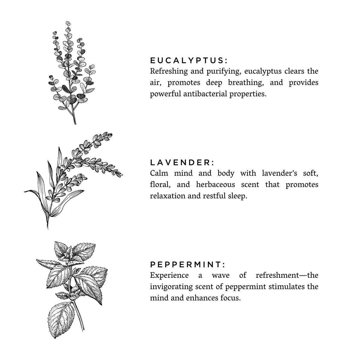 Of The Sea - Signature Soy Candle – Eucalyptus, Lavender & Peppermint - Honeysuckle & Sparrow