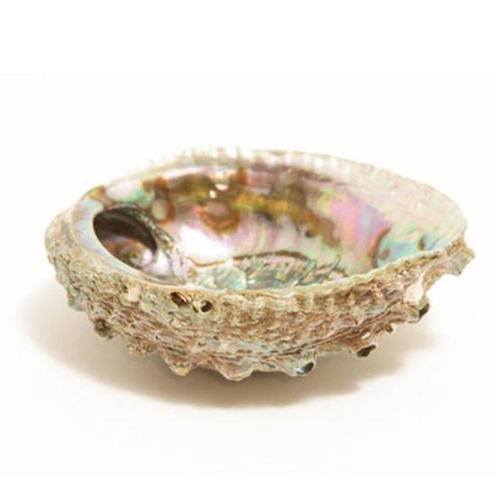 Smudge Ash Tray Burner - Abalone shell - Large 5"-6" - Honeysuckle & Sparrow